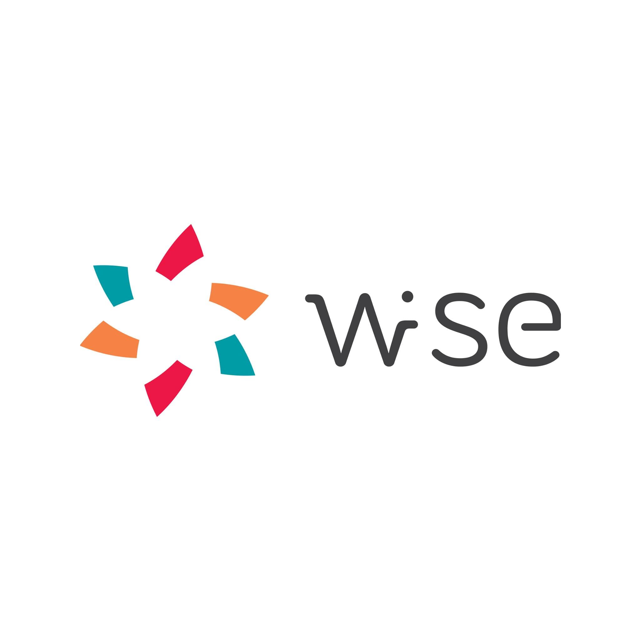 Featured image for Women Innovators for Social Business for Europe (WISE)